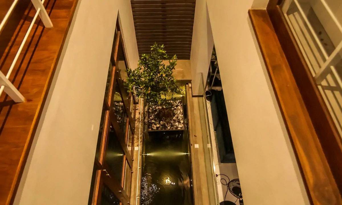 Looking down into the narrow indoor courtyard and its tree from the upper floor
