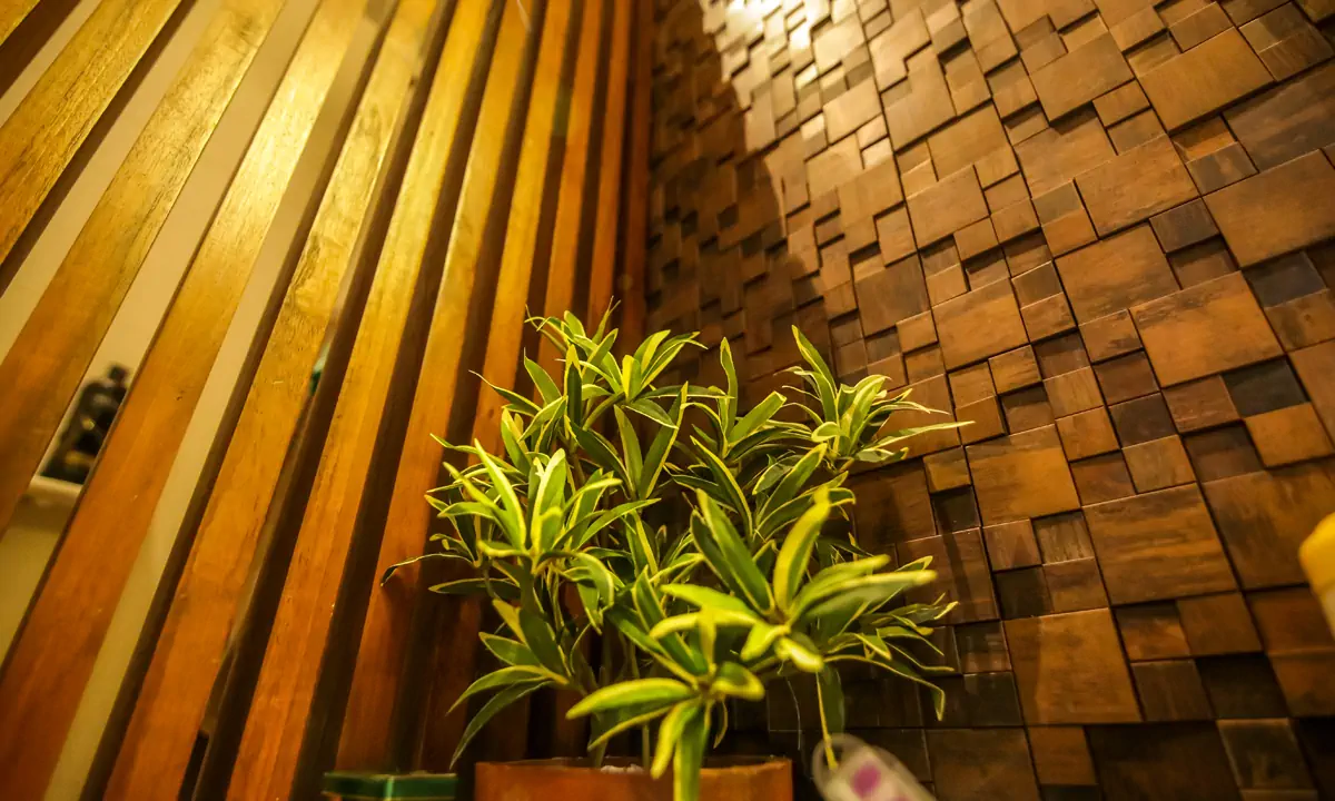 Vertical timber slats and a textured timber-block wall behind a potted plant