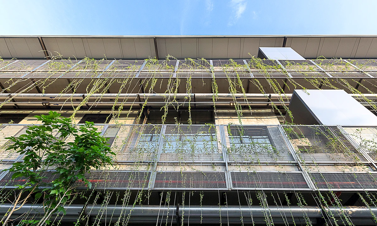 MAS Ayathi façade: steel mesh screens with climbing plants trailing down every level