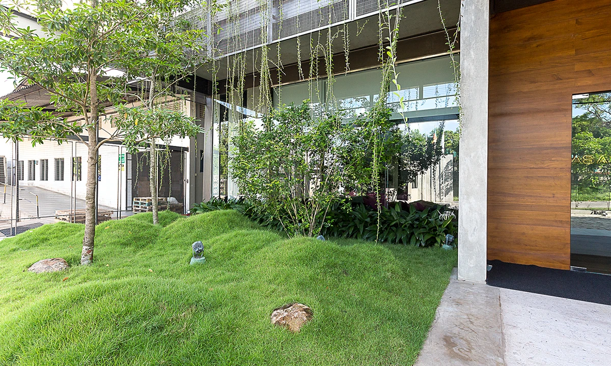 Grass mounds and trees at the entrance, beside a timber-clad wall