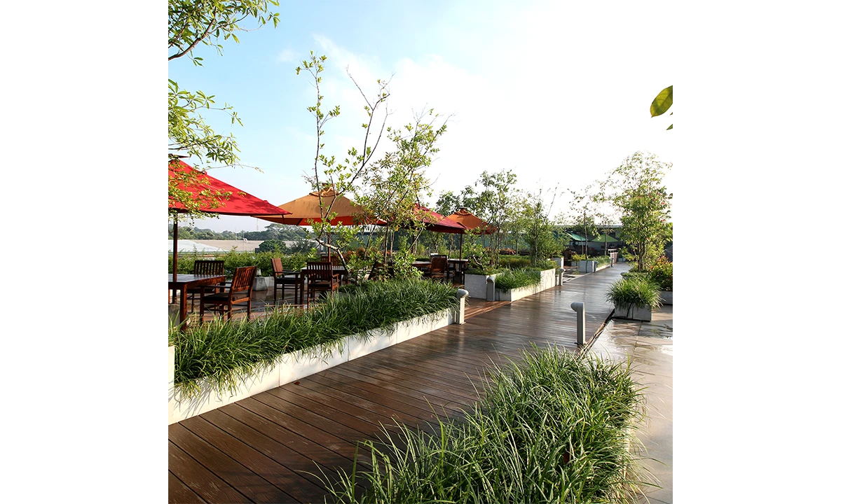 Timber roof deck with red umbrellas over the outdoor dining area