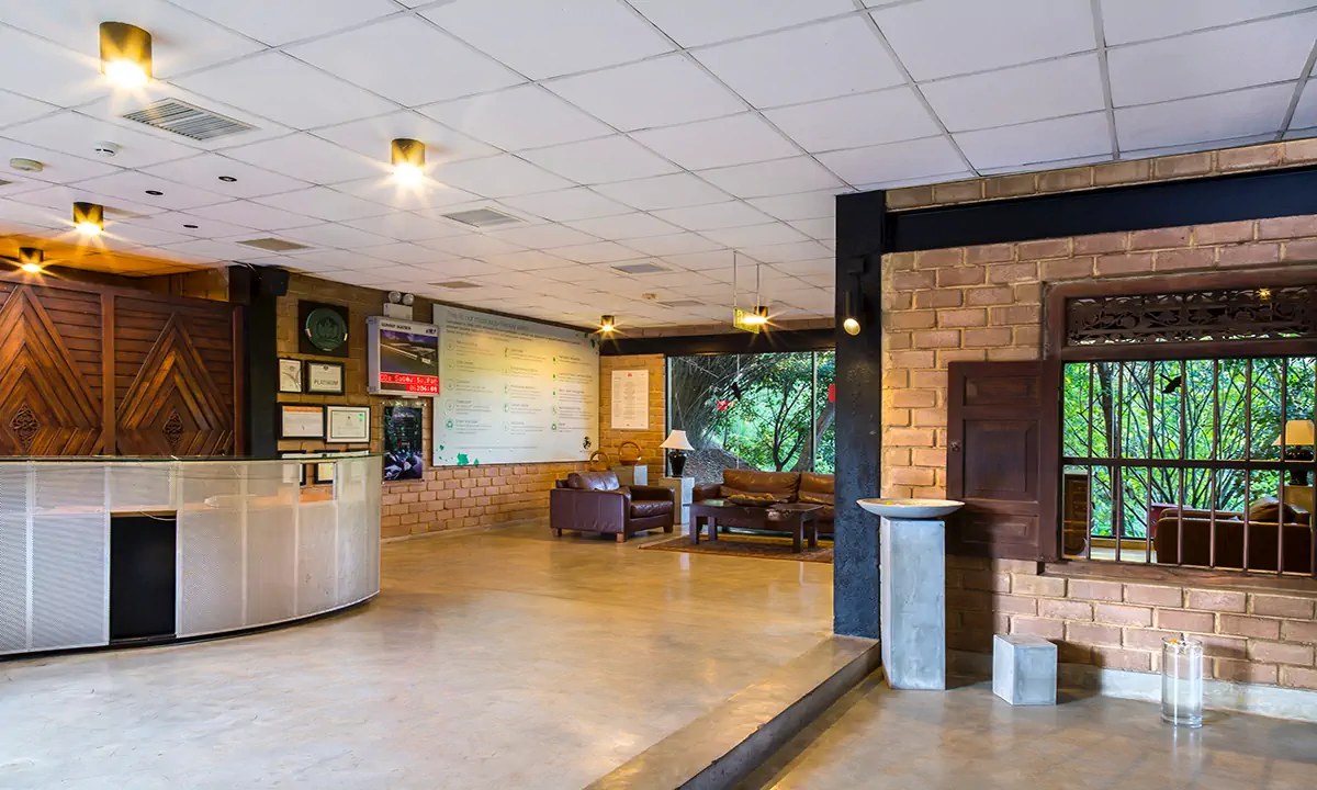 Reception with a curved desk, eco-brick walls and a lounge opening to the garden
