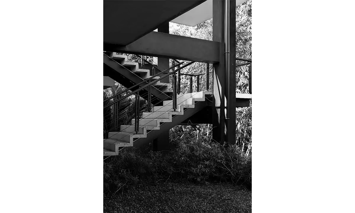 Concrete stairs among the trees, in black and white
