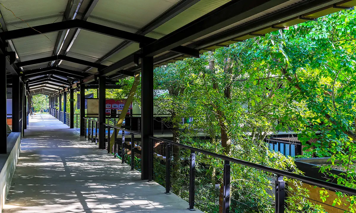 Long covered walkway with steel railings along the treetops