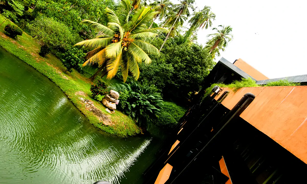 The constructed water body and planted banks beside a terracotta-coloured building