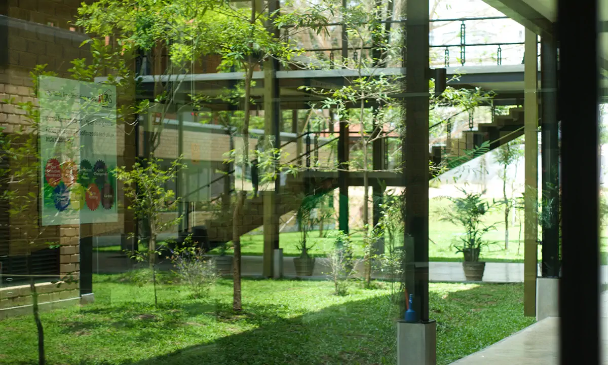 Courtyard of young trees seen through a glazed wall, with stairs and walkways beyond
