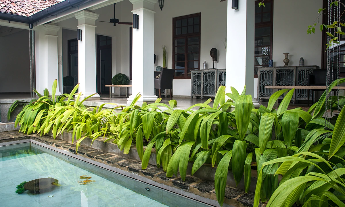 Planted edge of the pool along the colonnaded verandah